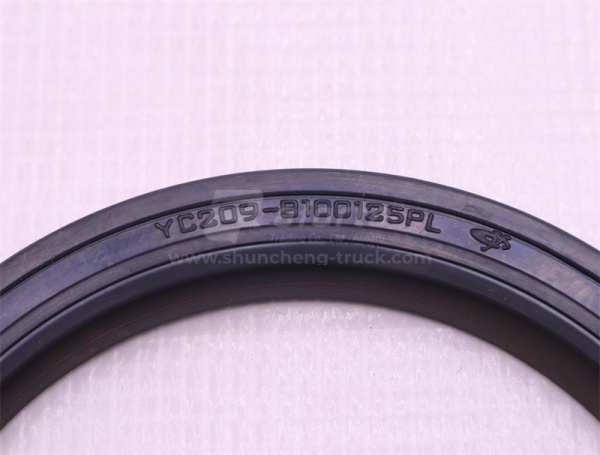 Сальник коренной YCD4T22T-105A 100*125*12 (оригинал)