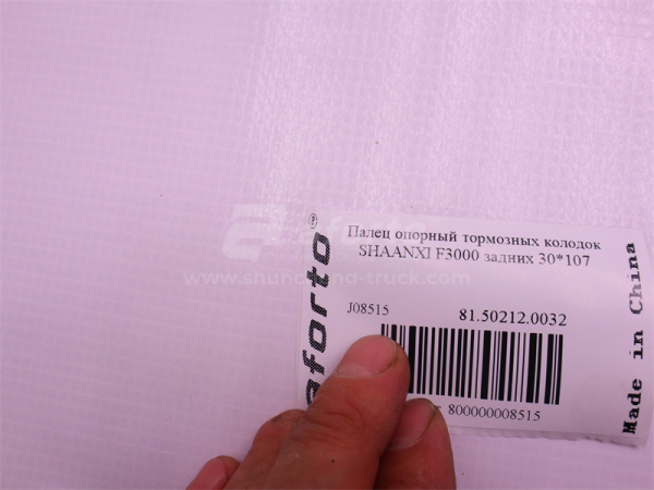 Палец кронштейн тормозных колодок SHAANXI F3000 задних 30*107