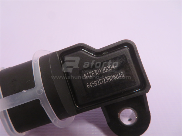 Датчик температуры входящего воздуха WEICHAI WP10/WP12 Euro III (оригинал)