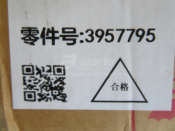 Поршень 6BT 3957795 (техника) с масл.каналом