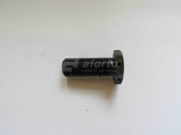 Болт 24*55*2.0 балансира STEYR полый (хорошее качество)