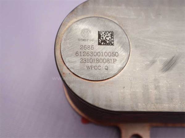 Радиатор теплообменника WP12 (оригинал)