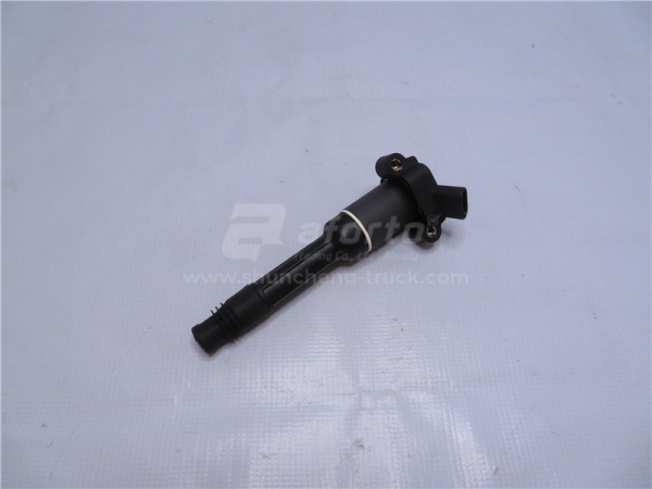 Катушка зажигания 6CT