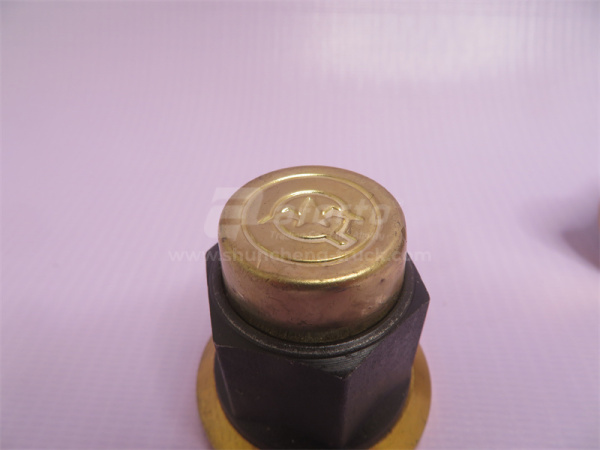 Гайка ступицы 22/23mm STEYR задней QINYAN