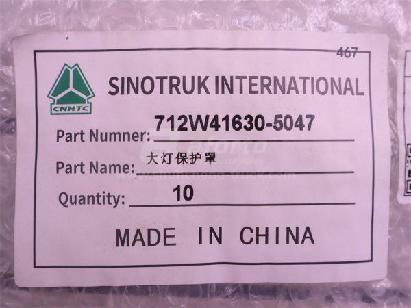 Защита фар HOWO  TX (оригинал)