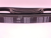 Ремень WEICHAI WP13.550E501 (оригинал)