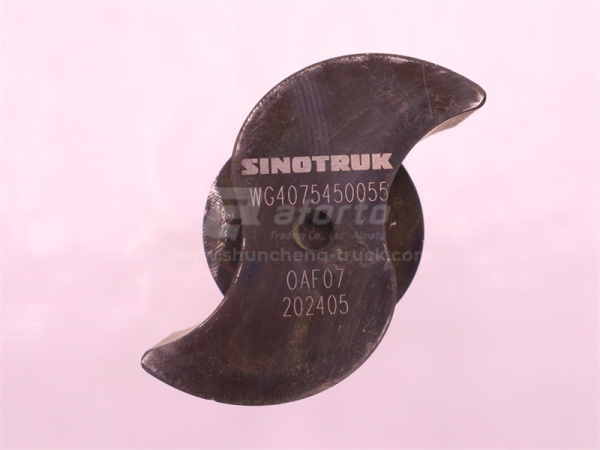 Вал тормозной HOWO TX/HOWO 2021передний Z =  мм (левый) (оригинал)