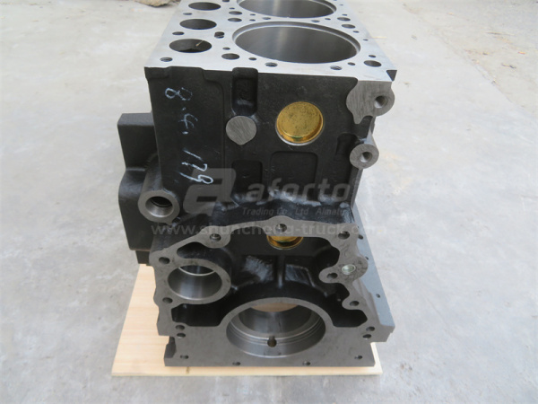 Блок двигателя WD615 Euro II 2 клапанов NAIMO