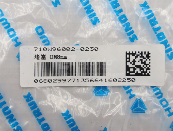 Заглушка кожуха пылезащитный передних и задних ступицы SINOTRUK MCP16 DM8mm  (оригинал)