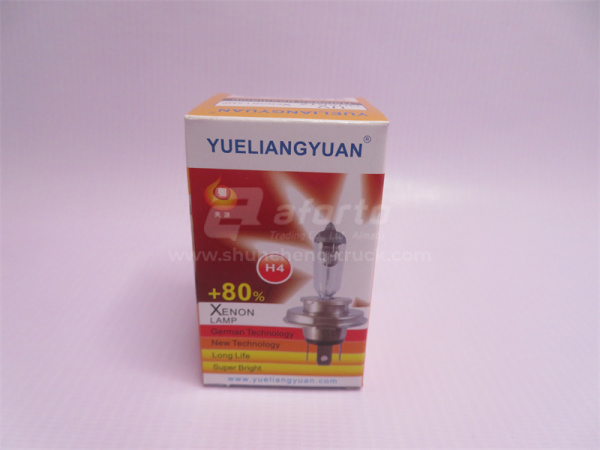 Лампа H4 100W/24V