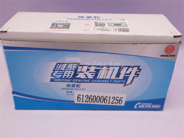 Шкив натяжителя ремня WP10 1256 (оригинал)