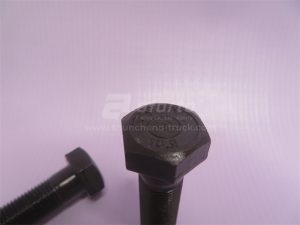 Болт 16*55*1.5 балансира STEYR QINYAN