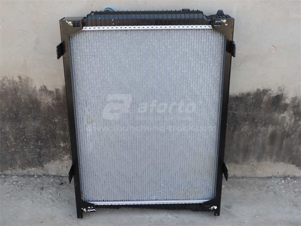 Радиатор охлаждения SHAANXI M3000 2020 пластмассовый (оригинал)