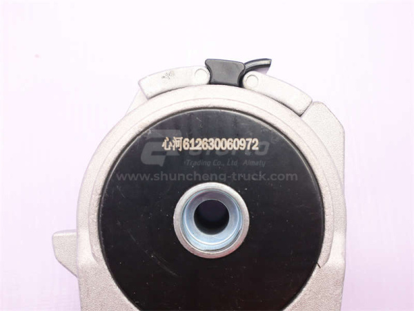 Шкив натяжителя ремня WP12 0972 XINHE