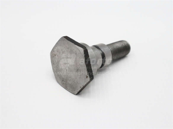 Палец опорный вала КПП FAST 12JSDX240TA