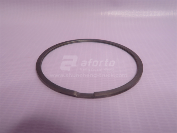 Кольцо выпускного коллектора WP12