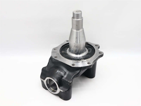 Кулак поворотный SHAANXI F3000/X3000 9.5T