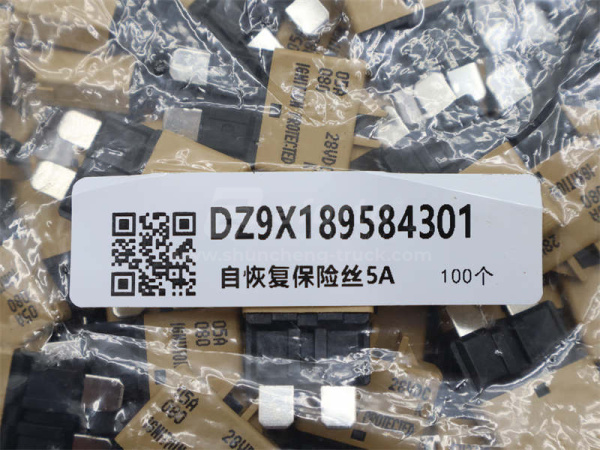 Предохранитель 5A SHAANXI X3000