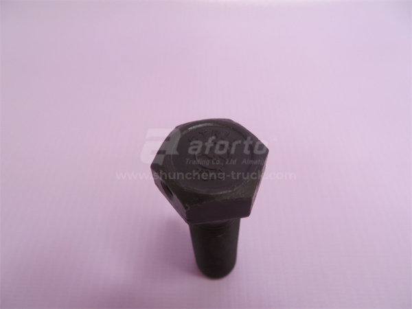 Болт 16*55*1.5 балансира STEYR перфорированный QINYAN